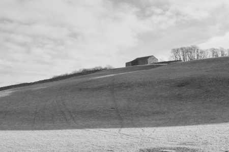 Bainbridge Barn